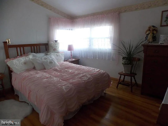 bedroom featuring multiple windows and wood-type flooring