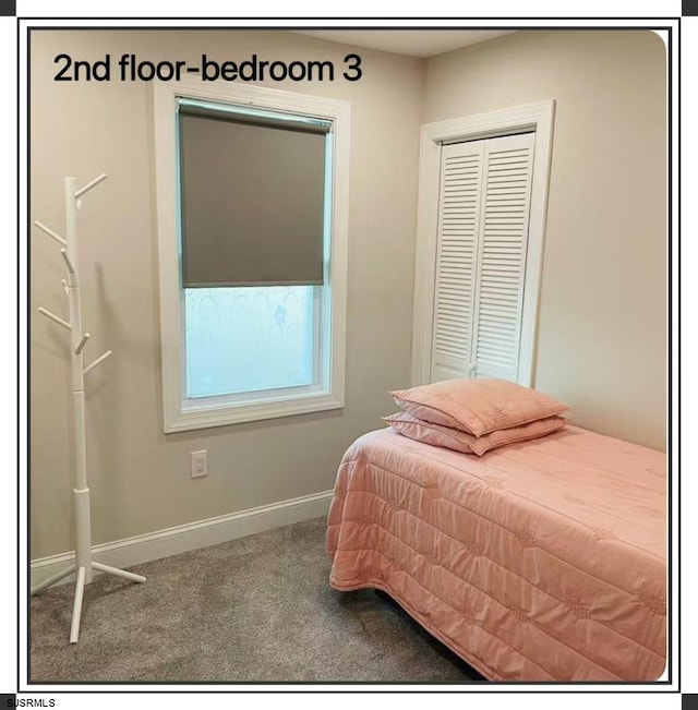 bedroom featuring a closet and carpet floors