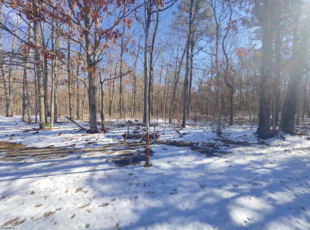 view of yard layered in snow