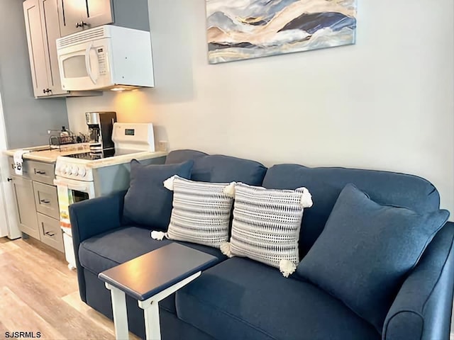 living room featuring light hardwood / wood-style flooring