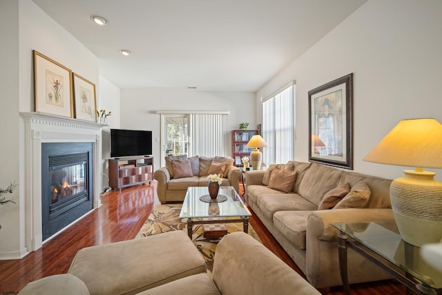 living room with wood-type flooring