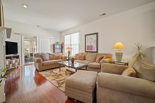 living room featuring wood-type flooring