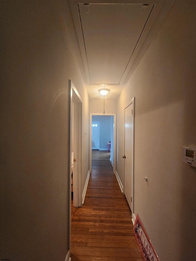 hallway with dark hardwood / wood-style floors