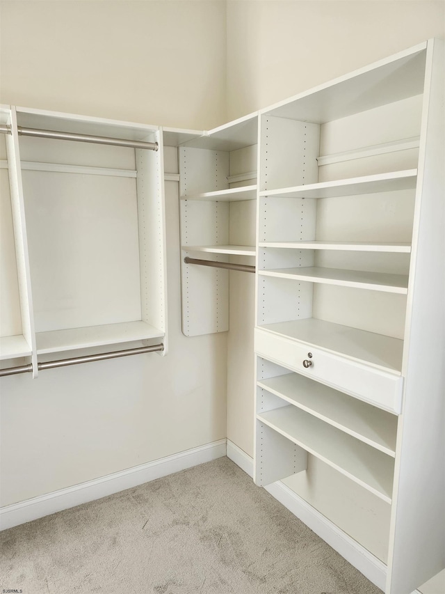 spacious closet with light colored carpet