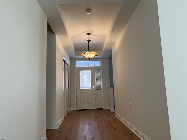 entryway with hardwood / wood-style floors and a tray ceiling