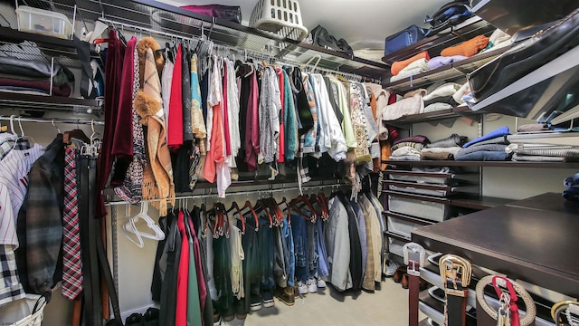 view of spacious closet