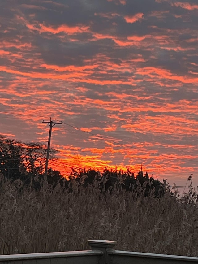 view of nature at dusk