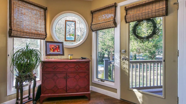 doorway to outside with a wealth of natural light and hardwood / wood-style flooring