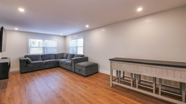 living room featuring light hardwood / wood-style flooring