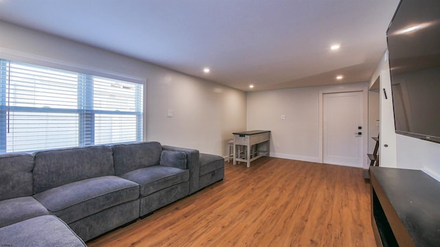 living room featuring wood-type flooring