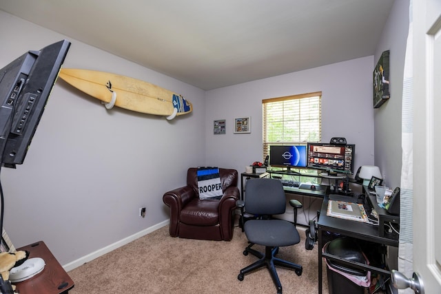 office area featuring carpet flooring