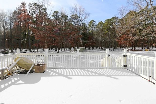 view of snowy yard