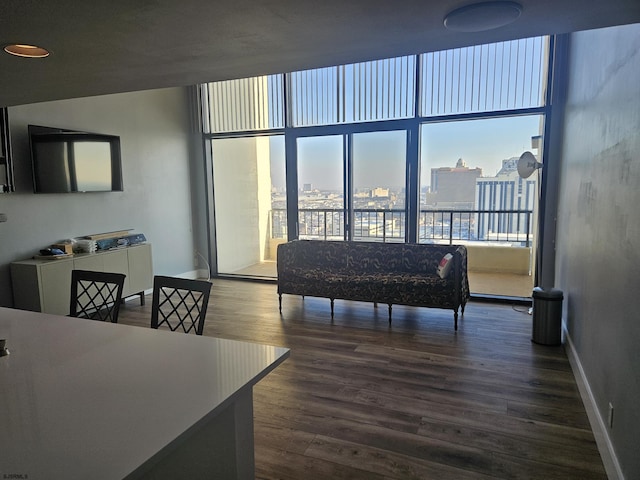 living room with dark wood-type flooring