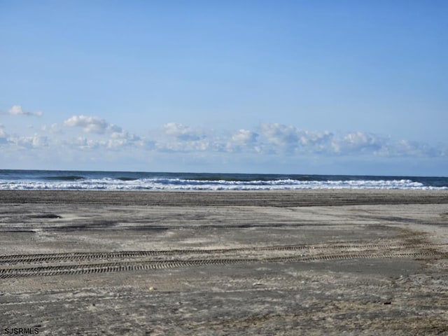 water view featuring a beach view