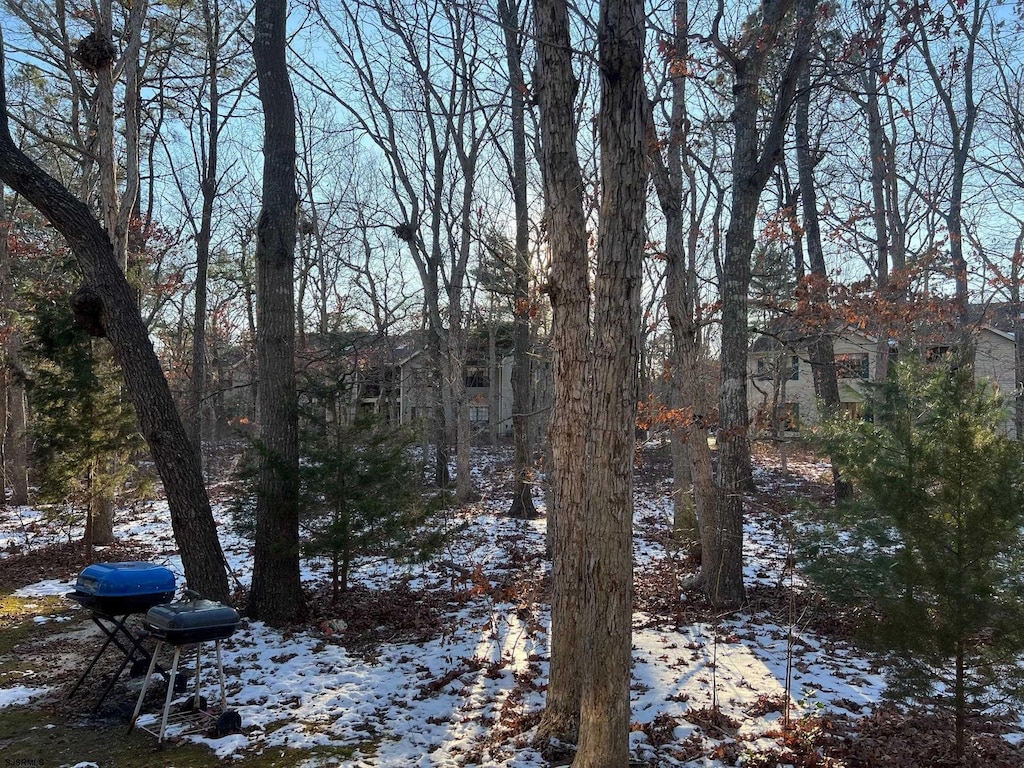 view of snowy yard