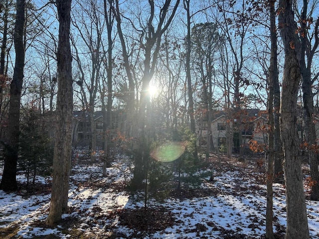 view of yard covered in snow