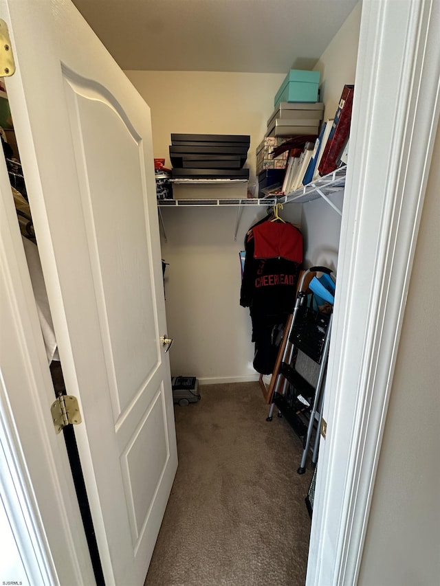 walk in closet with carpet flooring