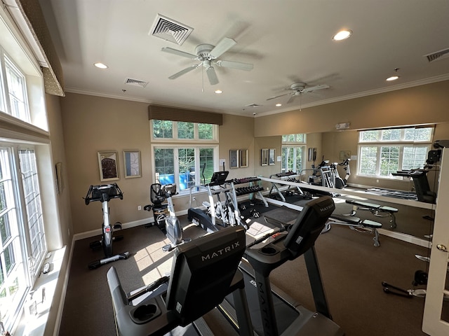 workout area featuring ceiling fan, a wealth of natural light, and ornamental molding