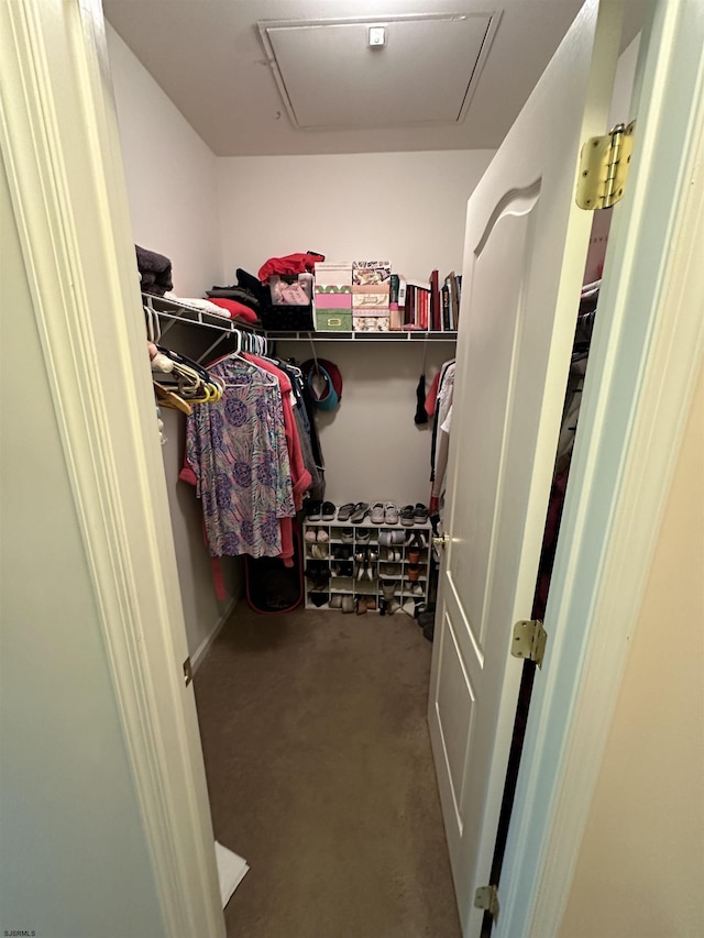 view of walk in closet