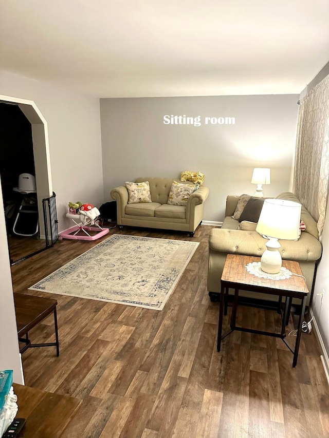 living room with wood-type flooring