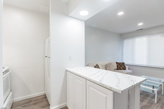 bathroom featuring hardwood / wood-style flooring