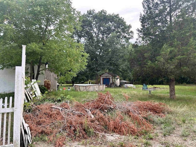 view of yard with a storage shed