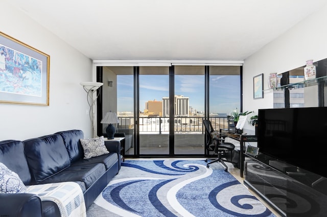 living room featuring expansive windows