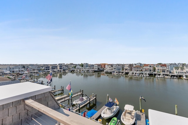 dock area with a water view