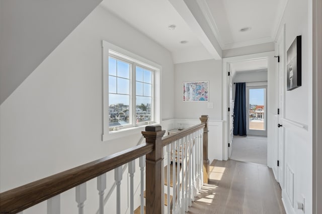 hall featuring hardwood / wood-style floors and ornamental molding