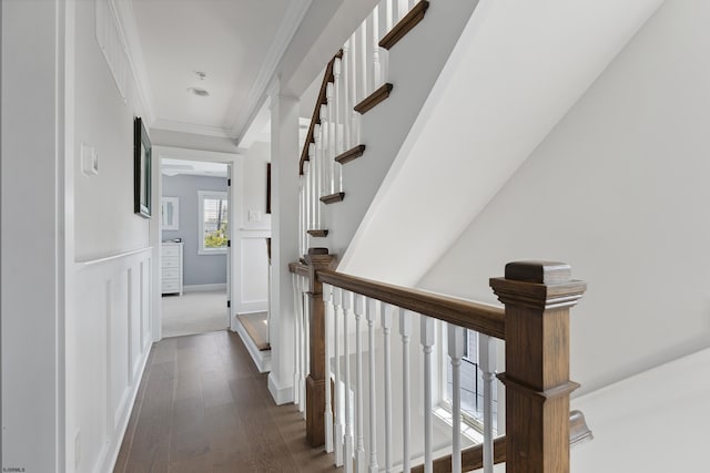 corridor featuring dark hardwood / wood-style floors and crown molding