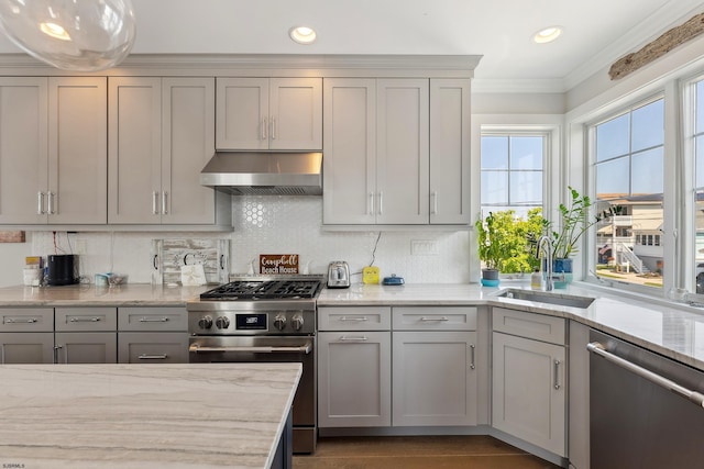 kitchen with ventilation hood, sink, gray cabinets, and stainless steel appliances