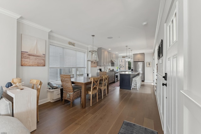 dining space featuring dark wood-type flooring and ornamental molding