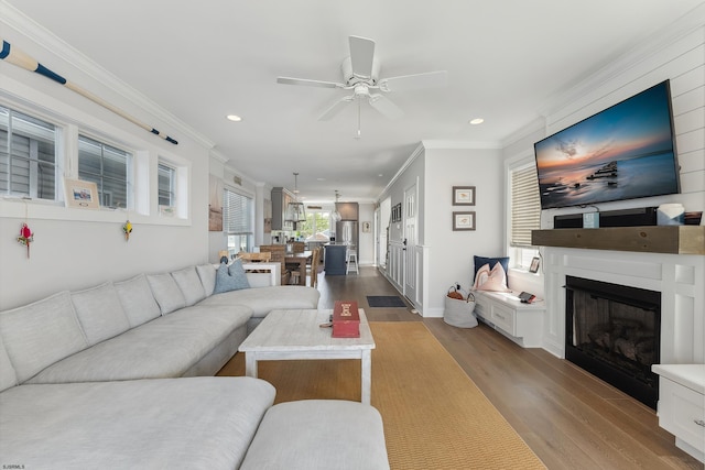 living room with ceiling fan, wood-type flooring, and ornamental molding