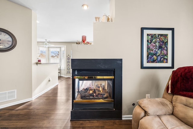 living room featuring a multi sided fireplace and wood-type flooring