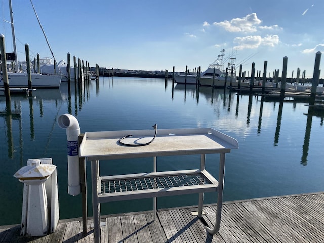 dock area featuring a water view