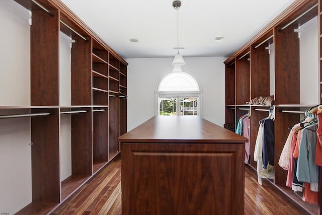 walk in closet featuring dark hardwood / wood-style flooring and french doors