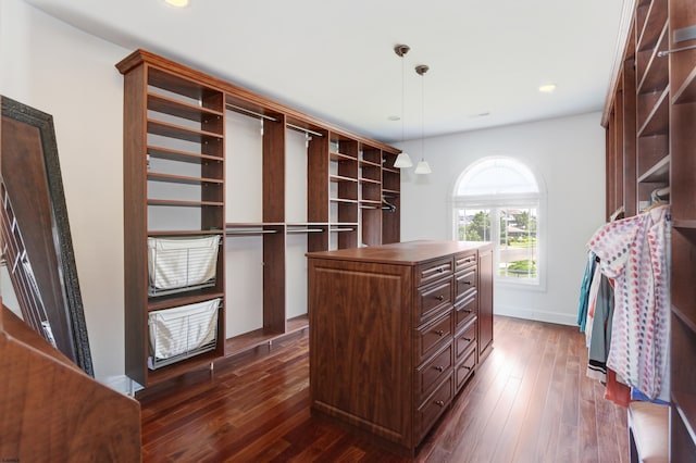 spacious closet featuring dark wood-type flooring