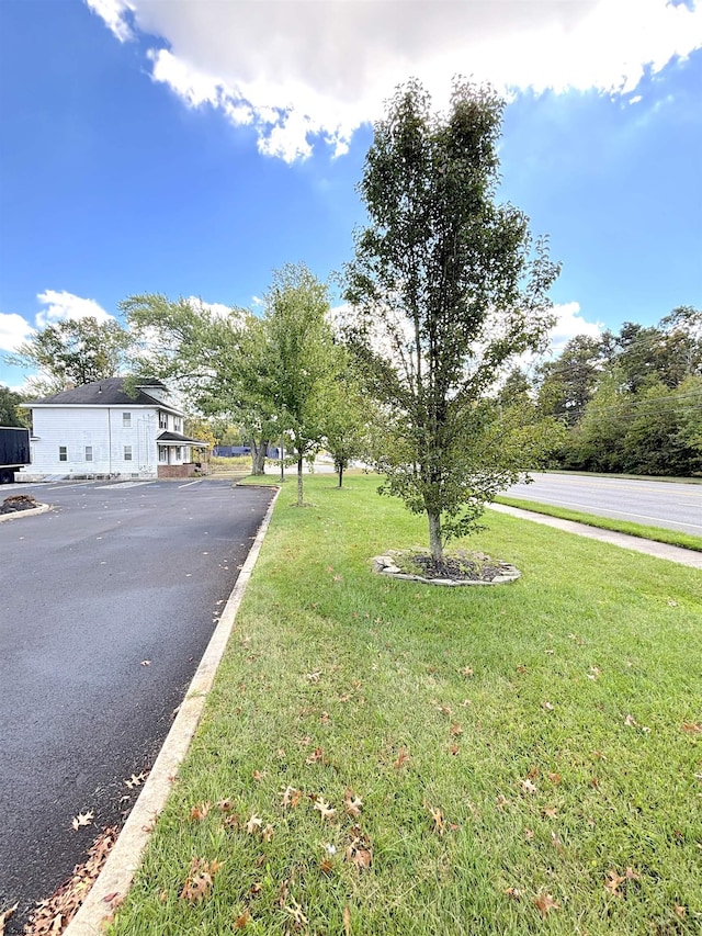 view of front of home with a front yard