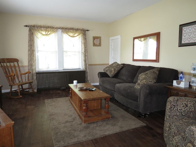 living room with dark wood-type flooring and radiator heating unit