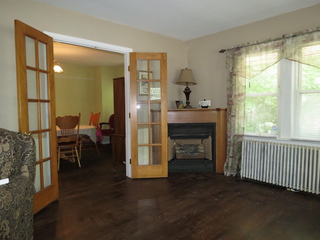 living room with dark hardwood / wood-style flooring, french doors, and radiator heating unit