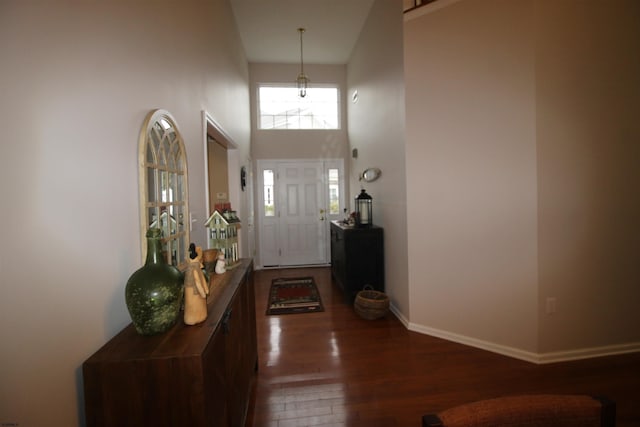 entrance foyer with a towering ceiling and dark hardwood / wood-style flooring