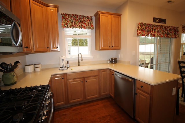 kitchen featuring appliances with stainless steel finishes, sink, a wealth of natural light, and kitchen peninsula