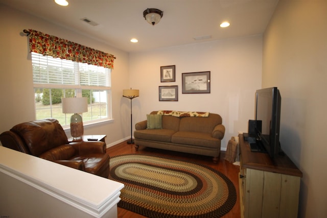 living room featuring hardwood / wood-style flooring