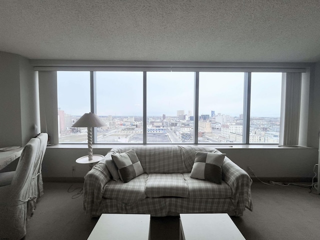 living room featuring a textured ceiling and carpet flooring