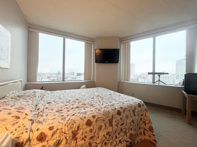 carpeted bedroom with multiple windows