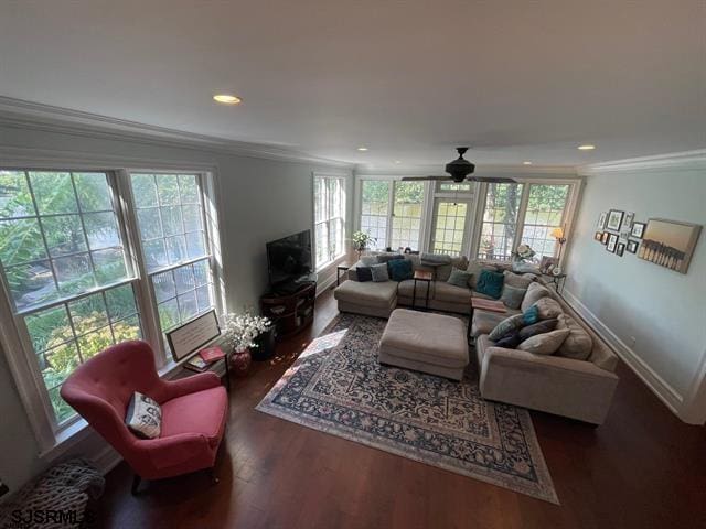 living room with ceiling fan, crown molding, and dark hardwood / wood-style flooring