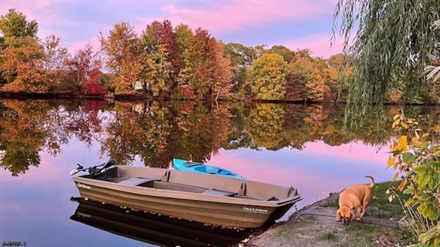 view of dock with a water view