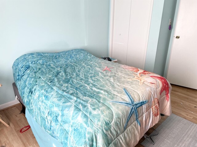 bedroom featuring light hardwood / wood-style floors and a closet