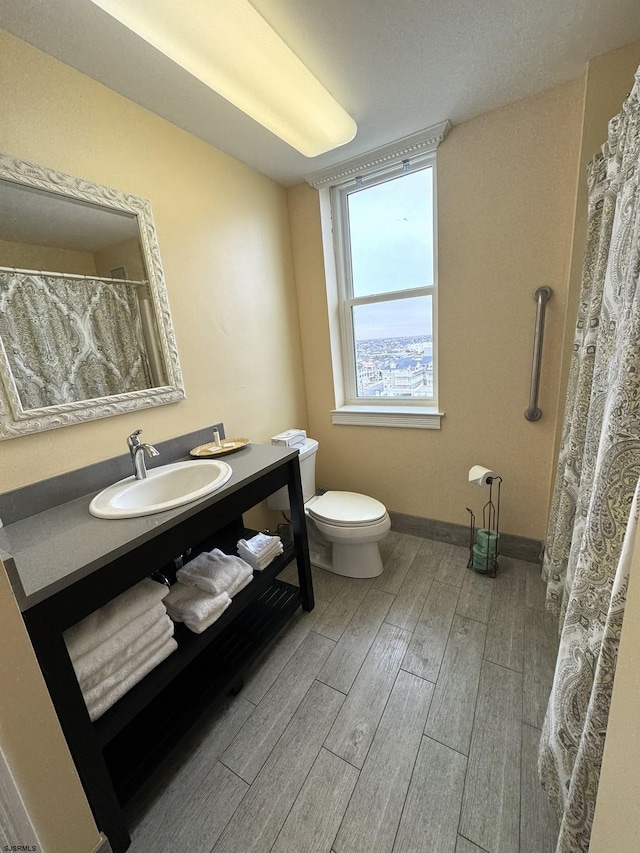 bathroom with toilet and vanity