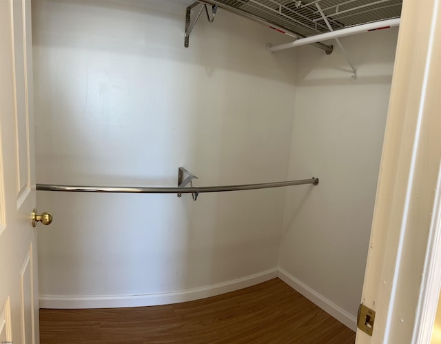 walk in closet featuring wood-type flooring